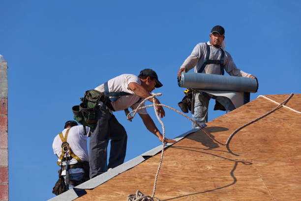 Best Roof Maintenance Services  in Lemay, MO